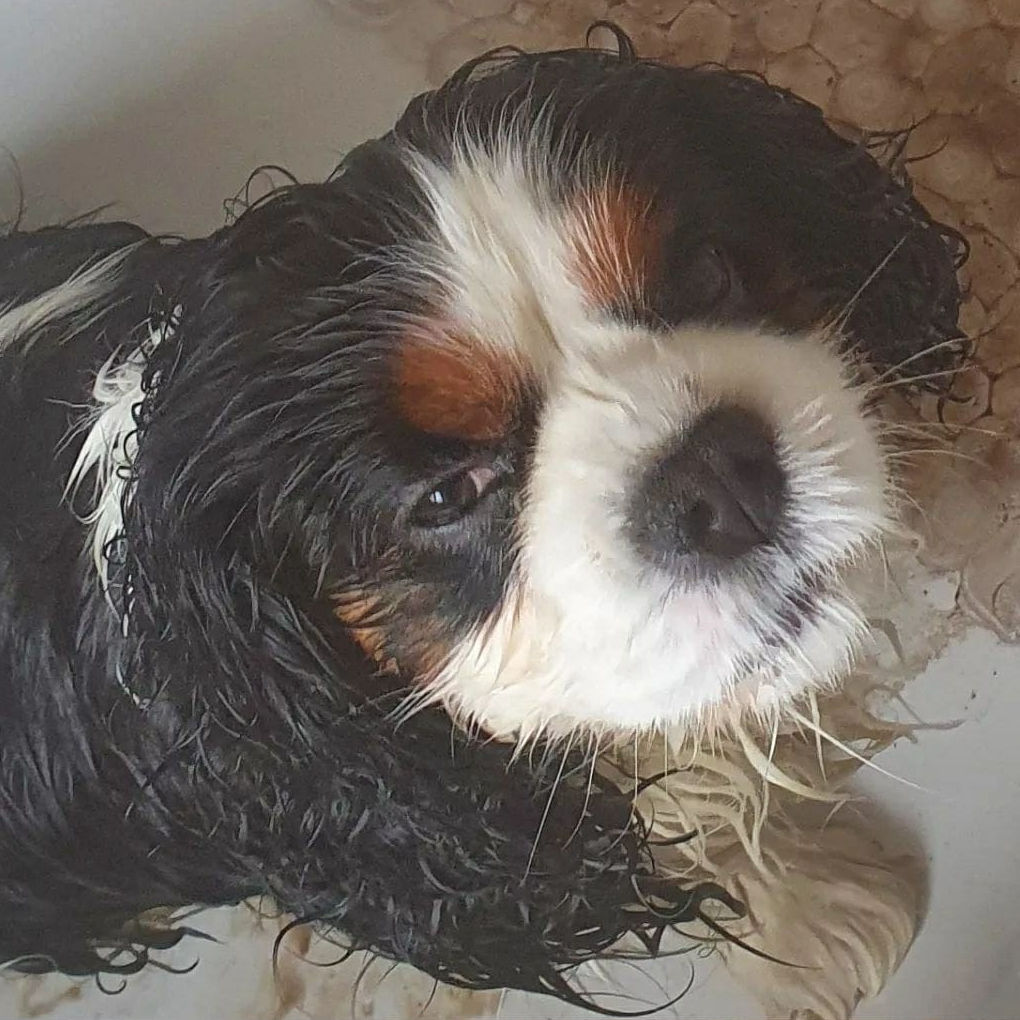 2024_2025 - Murphy - 16.jpg